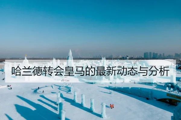 哈兰德转会皇马的最新动态与分析